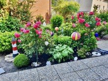 Terrasse Erste Reihe B�sum - direkt am Deich (Eigenland)