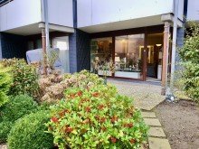 Terrasse Erste Reihe B�sum - direkt am Deich (Eigenland)