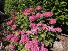 Sch�ner Garten Ruheoase in B�sum - gro�z�giges Wohnen mit Wintergarten und Traumgarten